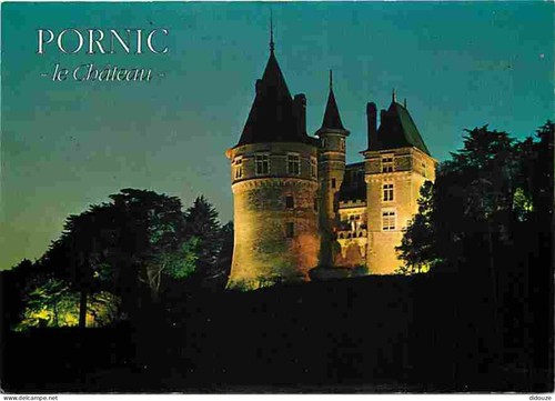 Carte postale pornic - carte,