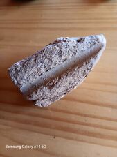 Polissoir  à perles outil néolithique gré sud Maroc 85 x 47 x 59 lot n°1205