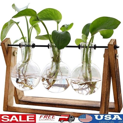 Wooden stand plant terrarium - wooden,