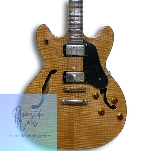 Guitare électrique