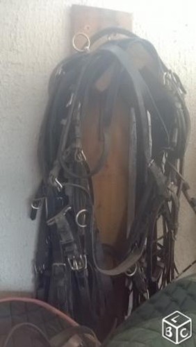 Harnais cheval cob cuir double - harnais,