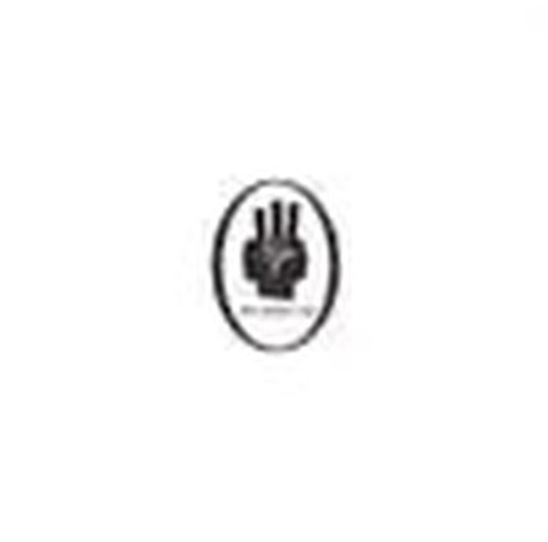 The hafler trio - hafler, /