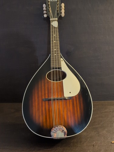 1966 stella harmony mandolin - 1966,