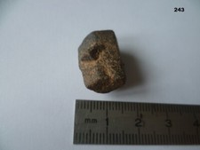 STAUROTIDE  DE FRANCE