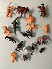 animaux zoo cirque la roche aux fees lion elephant ours