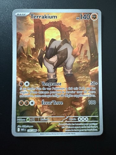 Carte pokémon terrakium - ✨carte,