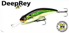 PONTOON 21 POISSON NAGEUR