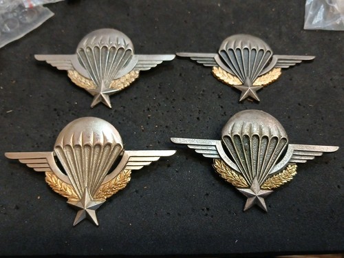 Insignes brevet para - insignes,