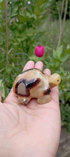 90g tortue septaria - 90g,
