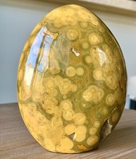Large Orbicular Ocean Jasper