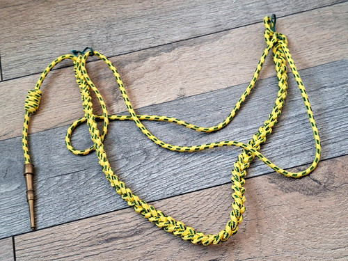 Une fourragère médaille