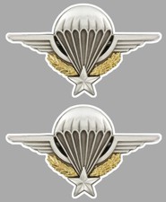 2 STICKER INSIGNE SPECIAL