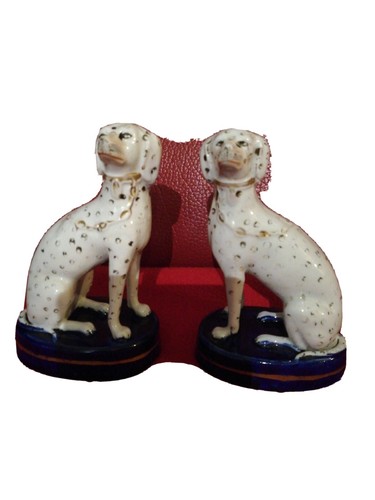 Couple chiens en - couple,