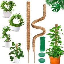 Tuteur Plante Grimpante 2 x 75cm Tuteur Monstera Support de Plante Tuteur Coc...