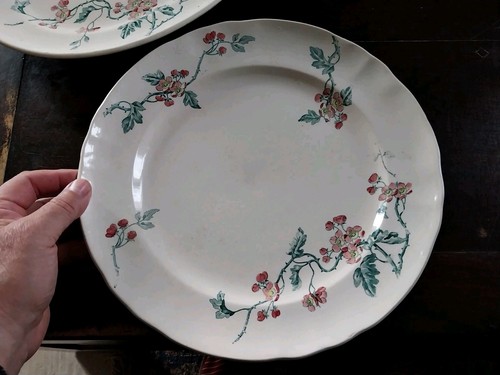 Anciens plats terre - plats, de