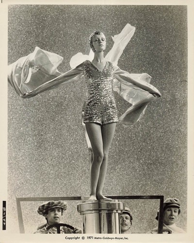 Twiggy the boyfriend photo - twiggy,