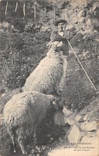 65-SCENE DES PYRENEES-JEUNE BERGER-N�584-D/0119