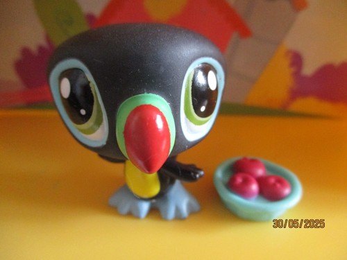 Petshop toucan 1396 - petshop, +