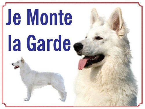 Attention chien je monte - attention, chien,