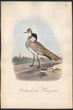 1860 Lithographie aquarellée