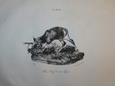 Antoine Louis BARYE 1796-1875 LITHO SCULPTURE ANIMAUX CERF LYNX ROMANTISME 1834