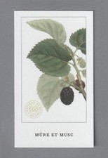 Carte  publicitaire  - Mûre