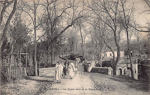 Algérie médéa le tapis - -,