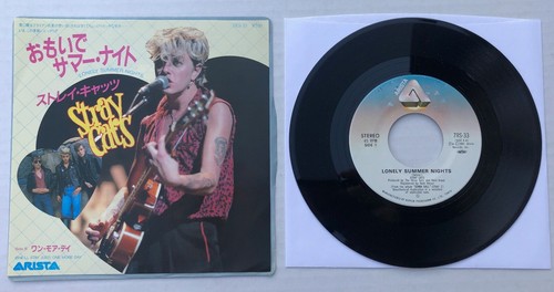 Stray cats nuits été - stray,