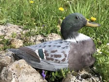 anciens canards flottant