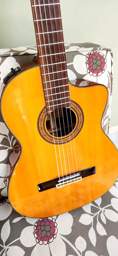 Takamine jasmine - ec-28,