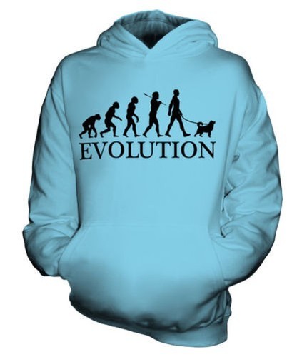 Shiba inu évolution homme - Évolution,