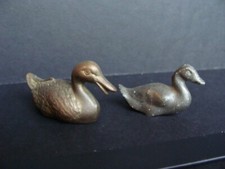 Canards miniature pour collection