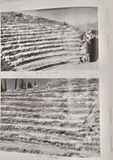 GINOUVES (René) LE THEATRON A