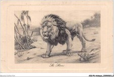 AIDP6-ANIMAUX-0477 - le lion