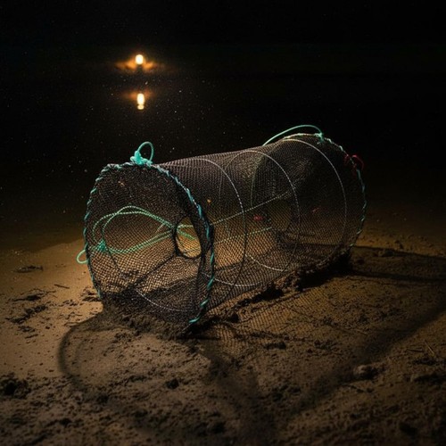 Piège poissons pliable - à,