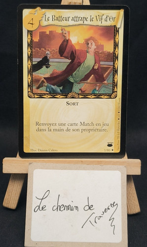 Carte harry potter le - carte,