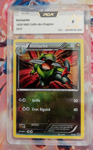 Pokemon incisache n b - 15/20, n&b