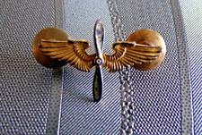 INSIGNE MILITAIRE ORIGINAL