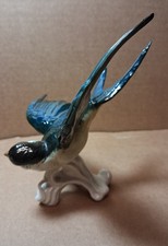 Hirondelle oiseau porcelaine - oiseau,