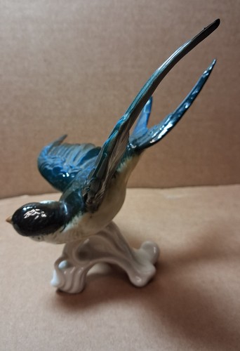 Hirondelle oiseau porcelaine - hirondelle,
