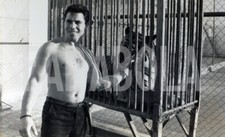 Photo de presse vintage Canaries Tigre En Cage À pour Activité Extérieure "