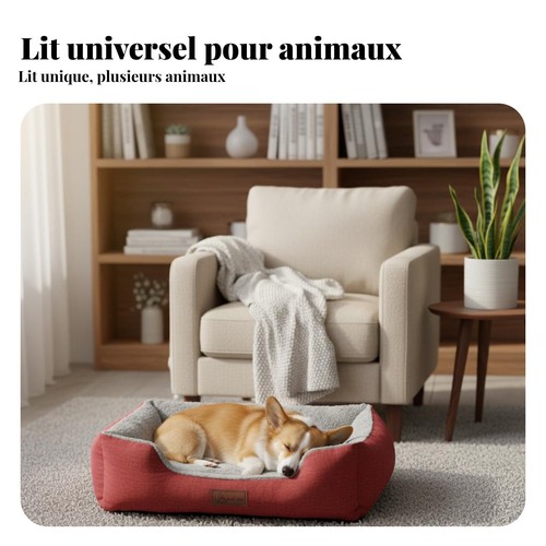 Corbeille pour chien - pour,