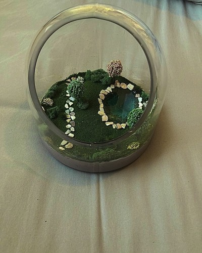 Mini terrarium!