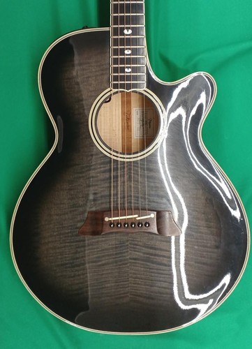 Takamine npt 115 electric - takamine,
