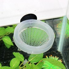 Bol pratique pour poissons