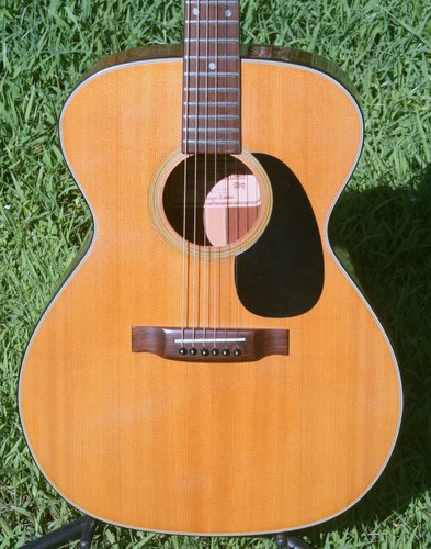 Guitare acoustique kasuga f311 - kasuga,