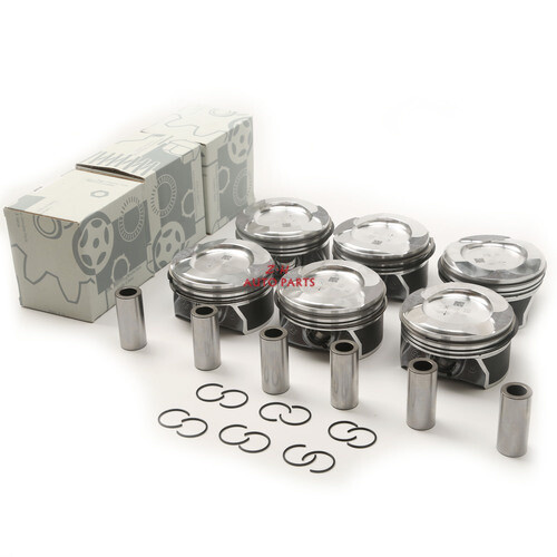 Engine pistons set φ22mm - engine,
