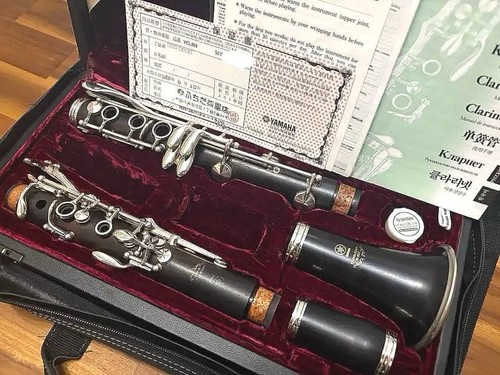 Clarinette professionnelle - clarinette, bb
