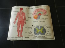 Ancienne affiche école - affiche, d'école