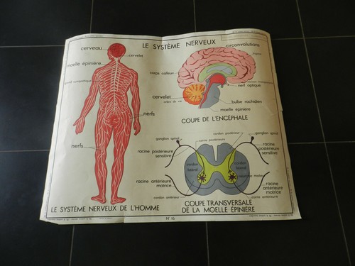Ancienne affiche école - ancienne, d'école